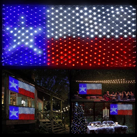 Texas LED String Lights Flag