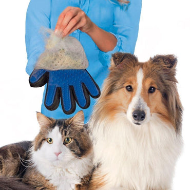 Pet Grooming/Deshedding Glove for Cat or Dog - New Trend Gadgets