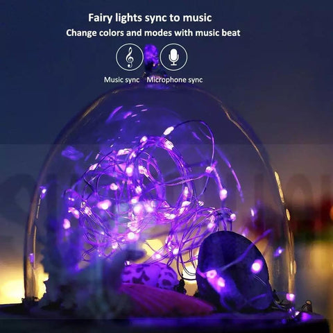 Smartphone App-Controled LED String Christmas Lights