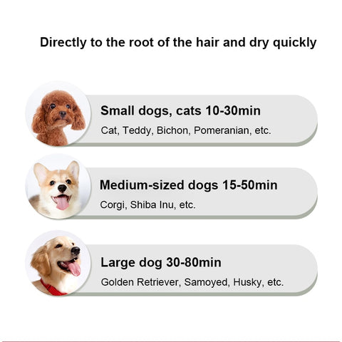 2-in-1 Portable Pet Hair Dryer