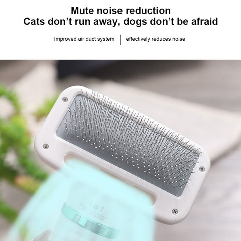 2-in-1 Portable Pet Hair Dryer