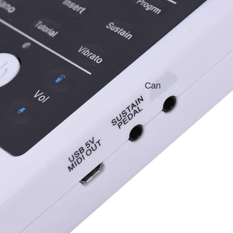 Portable Roll-Up Electric Piano